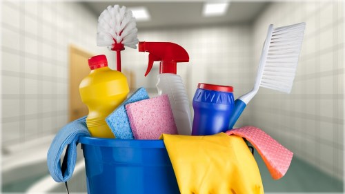 Professional carpet cleaning for a BR1 home living room