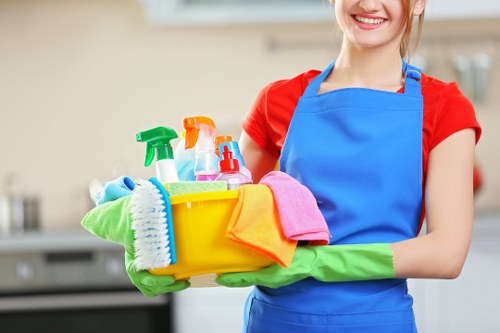 Professional window cleaning service for BR1 homes and local properties