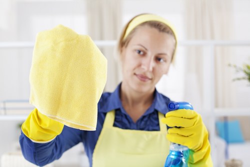 Detailed end of occupancy and move in cleaning for a BR1 home