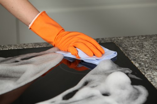 Cleaner removing grease and burnt-on residue from an oven in BR1