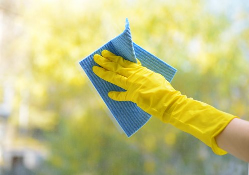 Carpet cleaners preparing a transparent quote for a BR1 home