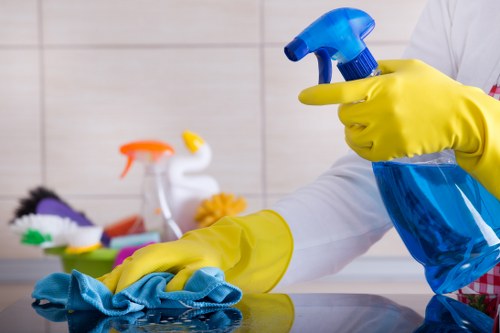Carpet cleaning technician inspecting a room before work begins