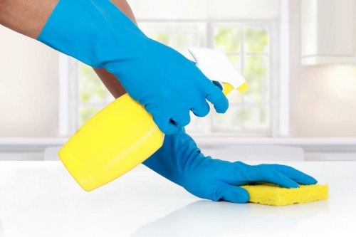 Careful facade cleaning for mixed-material buildings in BR1