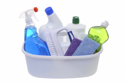 Professional carpet cleaning in a BR1 home interior