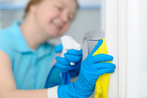Local commercial cleaners managing shared areas in BR1