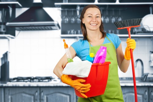 Domestic and commercial oven cleaning in the BR1 area