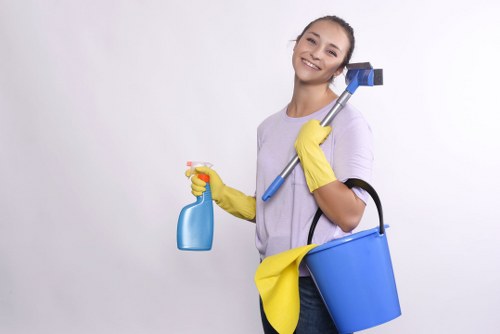Professional one off cleaning for flats and houses in BR1