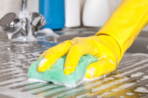 Thorough deep cleaning of a BR1 living space