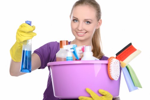 Kitchen and bathroom regular cleaning in BR1 property