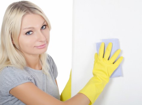 Local cleaner maintaining a BR1 flat during a routine visit