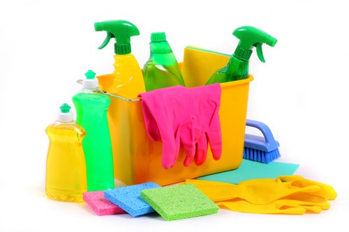 Deep cleaning tasks for a bathroom and living area in BR1